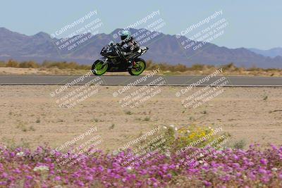 media/Mar-12-2023-SoCal Trackdays (Sun) [[d4c8249724]]/Turn 15 Inside Bloom (130pm)/